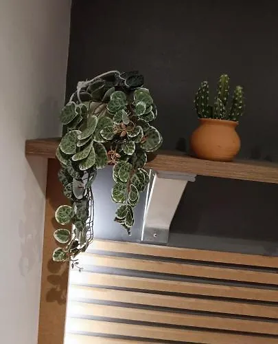 Bel'air Holiday home